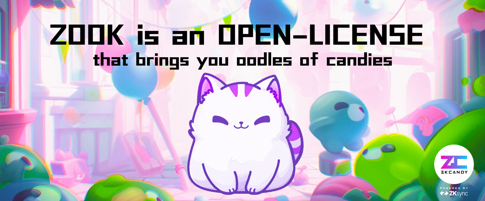 zook banner